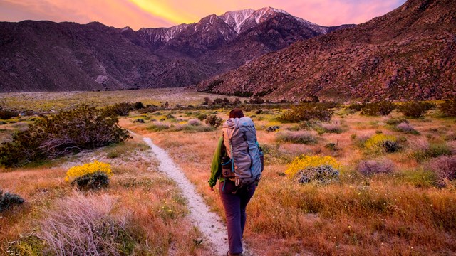 Hiker on the Pacific Crest Trail